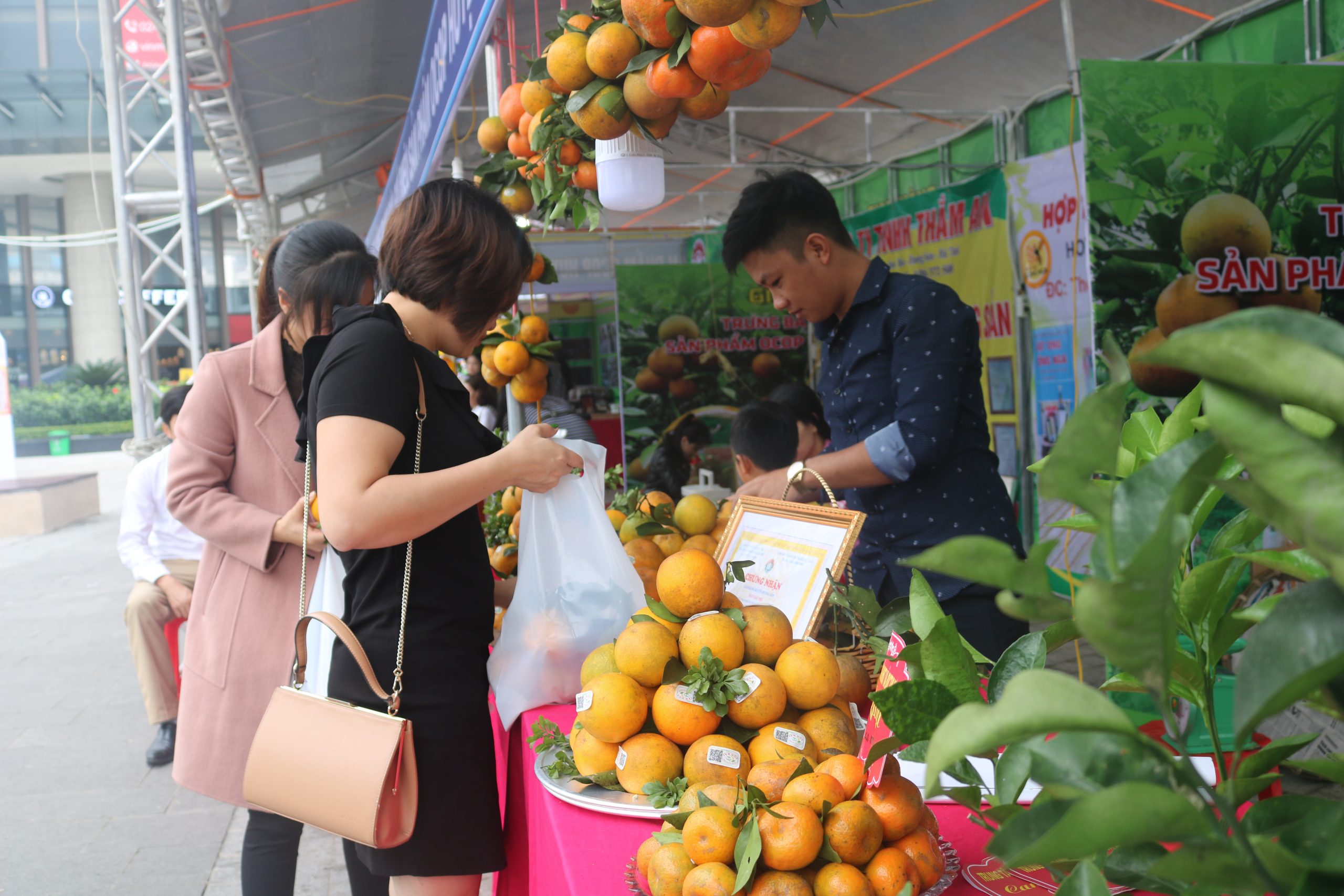 Người tiêu dùng an tâm mua sắm tại lễ hội Cam và nông sản tiêu biểu