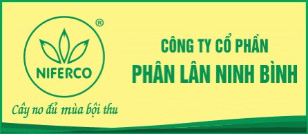 Công ty Cổ phần Phân Lân Ninh Bình