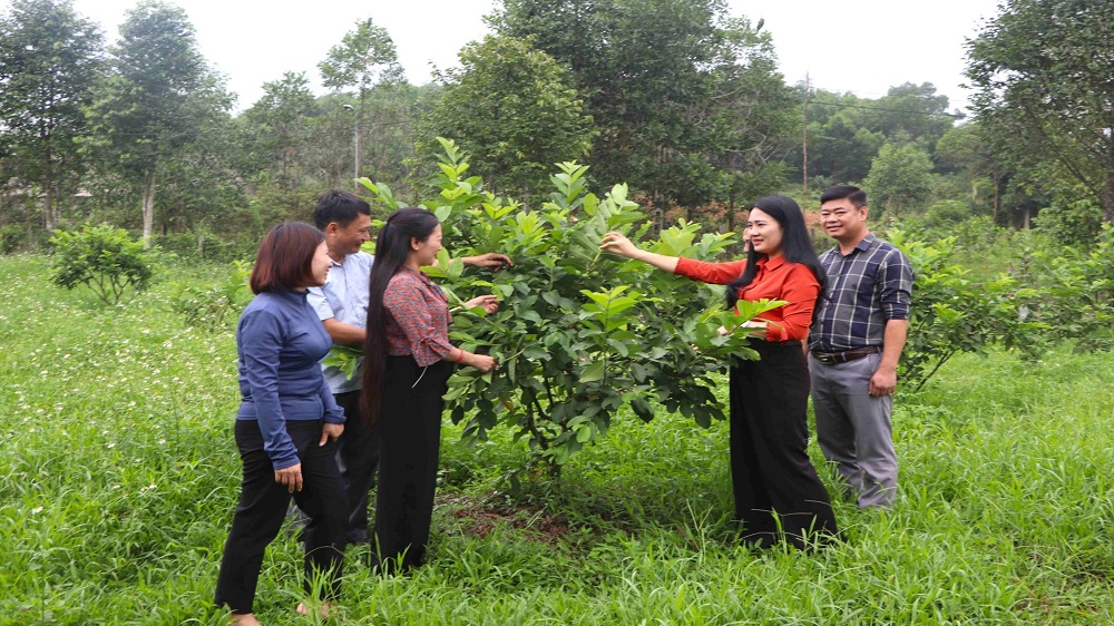 Lãnh đạo huyện Vũ Quang quan tâm hướng đi mới mà Hội Nông dân đang triển khai