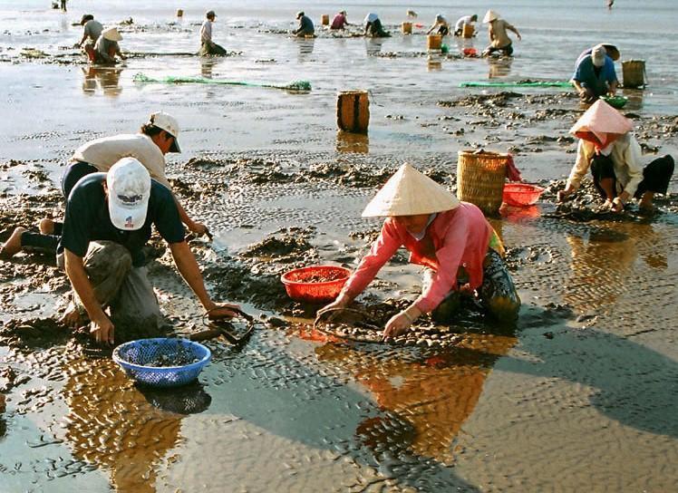 Sản phẩm nghêu được giới thiệu đến người mua tại Triển lãm Thủy sản Toàn cầu 2022