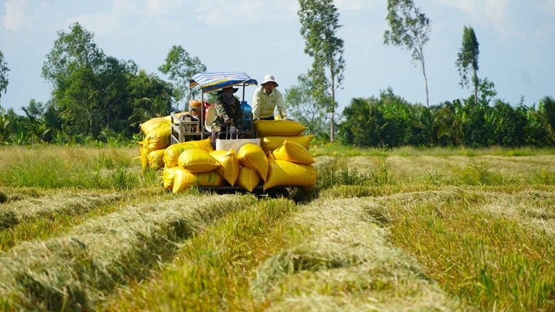  Hậu Giang đã từng bước chuyển đổi mô hình sản xuất đáp ứng tăng trưởng và tiêu dùng xanh