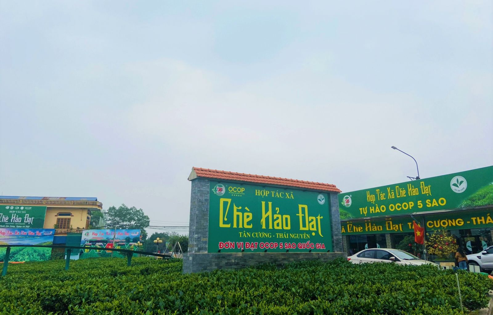 HTX Chè Hảo Đạt ở Tân Cương là một trong những mô hình kinh tế tập tiêu biểu ở Thái Nguyên.