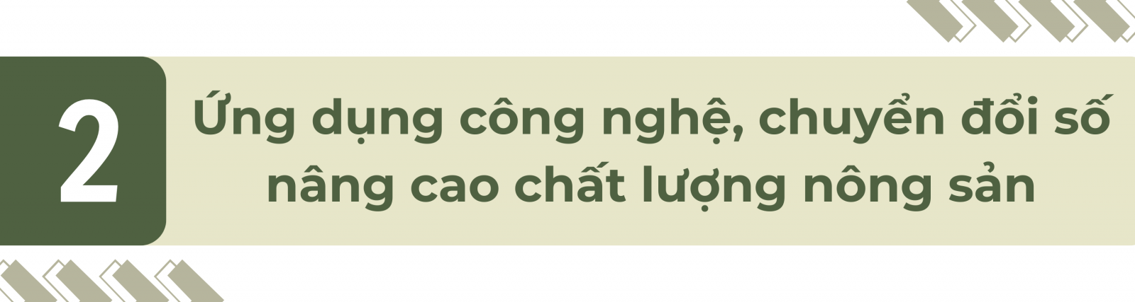 nông nghiệp Mộc Châu 1