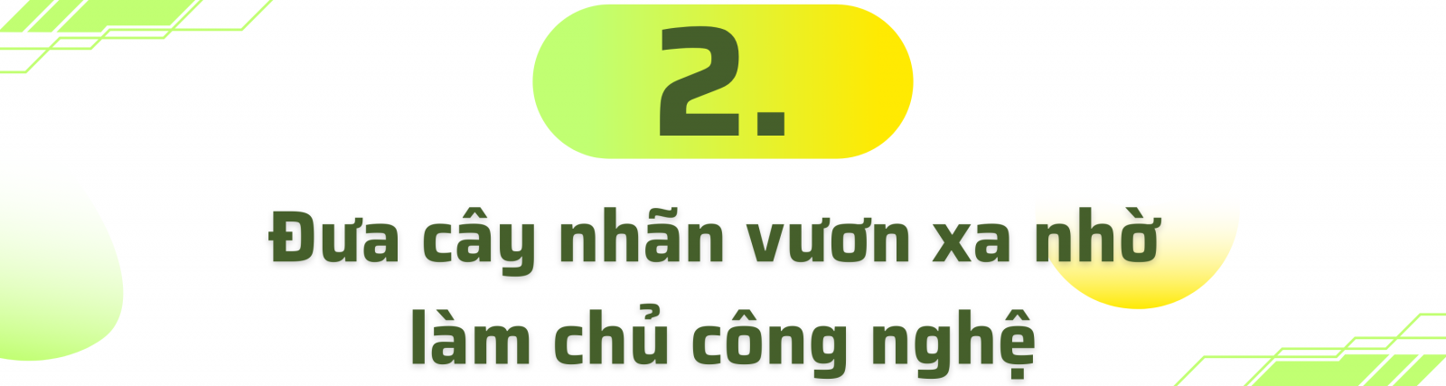 nhãn sông mã 2