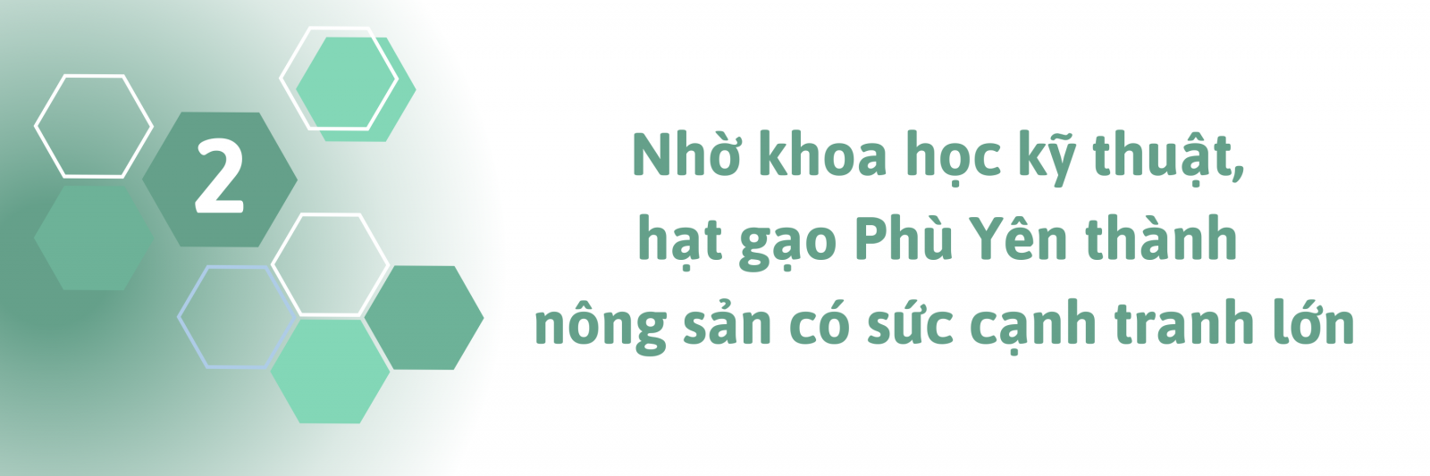 nông nghiệp ứng dụng công nghệ cao