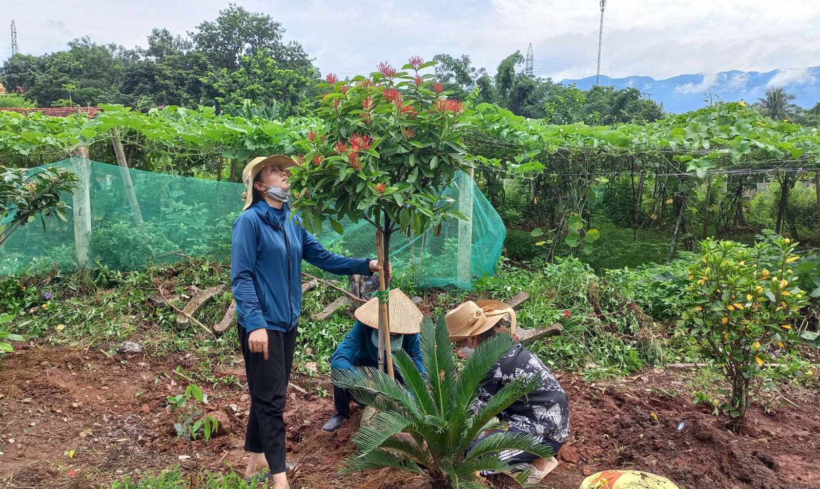 ban thong phieng xay dung nong thon moi 5