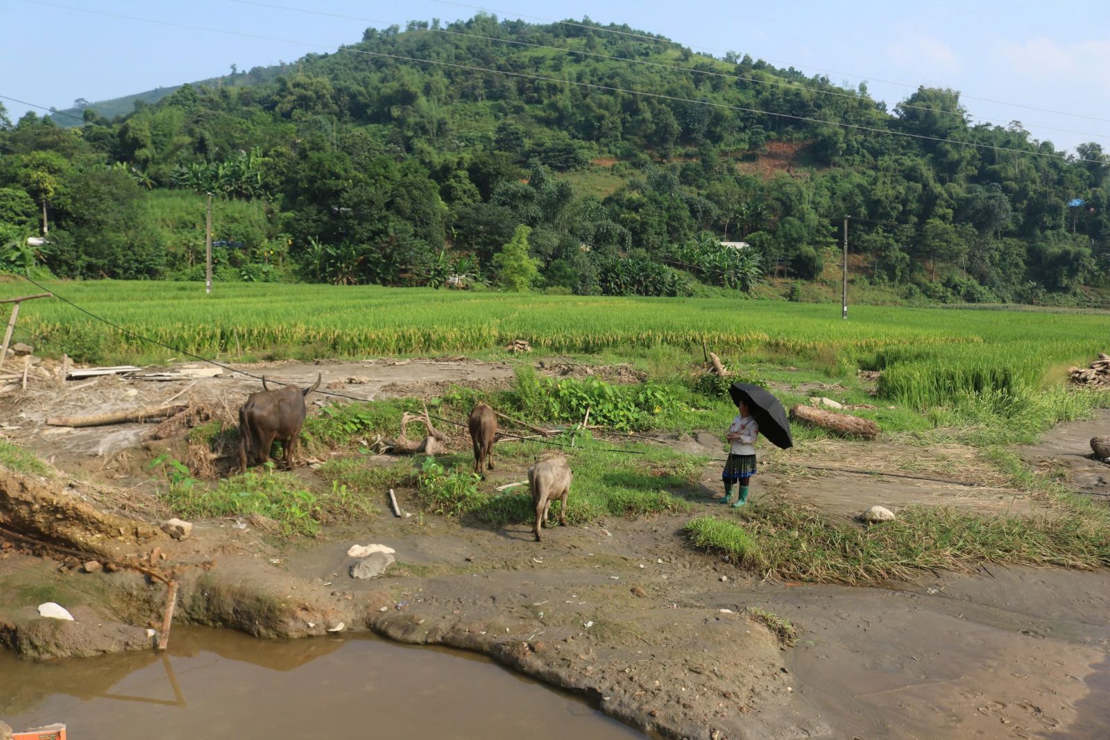 cong dien lao cai 2