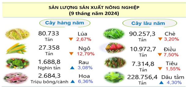 Sản lượng sản xuất nông nghiệp tỉnh Lâm Đồng 9 tháng năm 2024