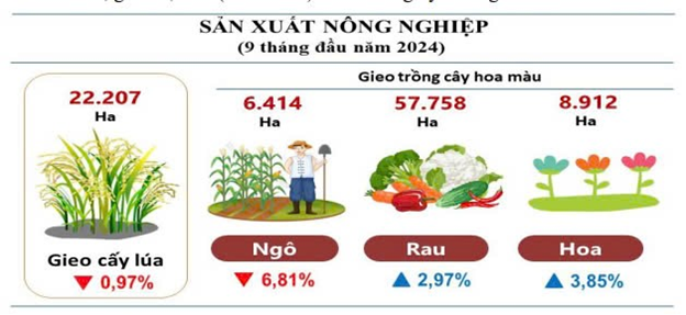 Sản xuất ngành nông nghiệp tỉnh Lâm Đồng trong 9 tháng năm 2024