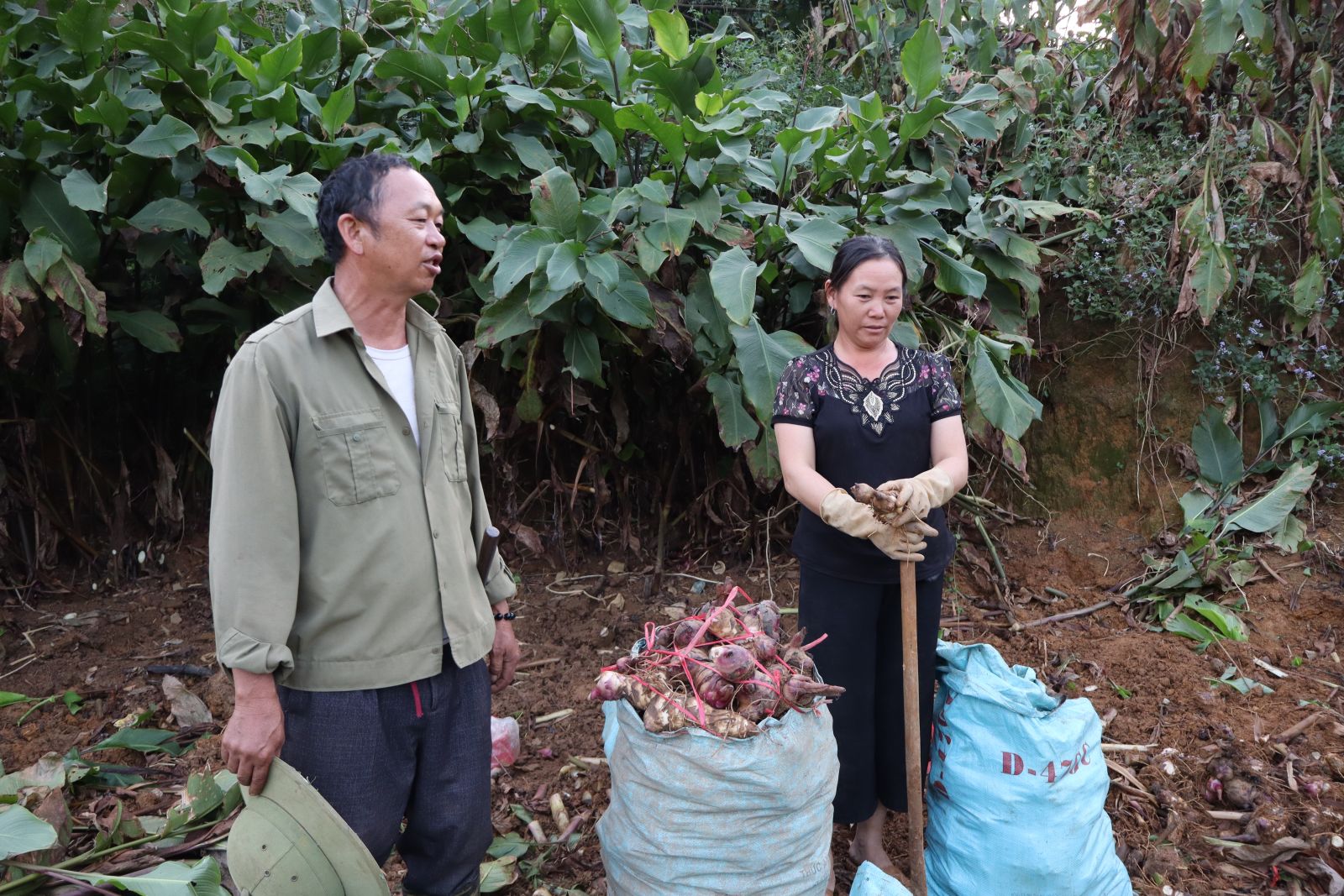 phổ biến giáo dục pháp luật cho bà con dân tộc vùng cao