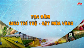 TỌA ĐÀM: \\\